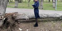 Стало известно о состоянии девочки, на которую упало дерево в Самаре
