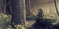 Природоохранная прокуратура пытается вернуть земли лесфонда в Кировском районе Самары