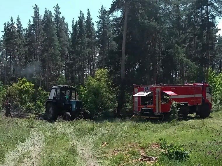 Под Сызранью обломки БПЛА спровоцировали лесной пожар