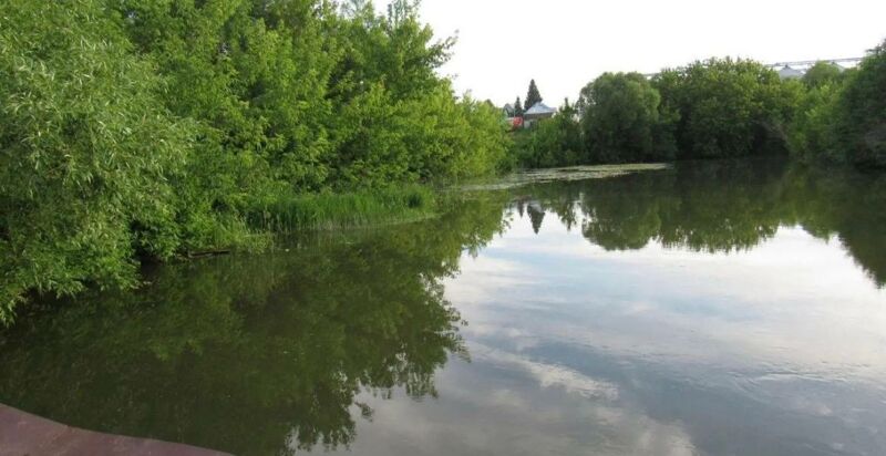 В Самарской области организована проверка из-за гибели троих детей на воде