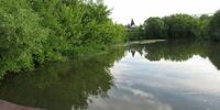 В Самарской области организована проверка из-за гибели троих детей на воде