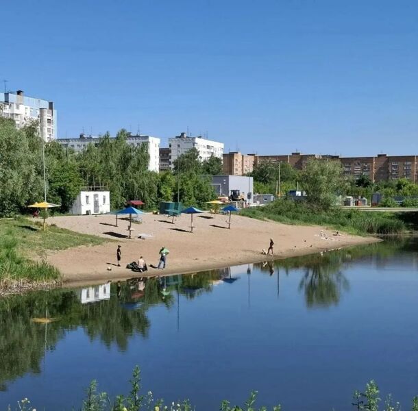Кто отравляет Сакулино?