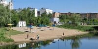Кто отравляет Сакулино?