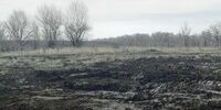 АО «Самаранефтегаз» полностью возместило ущерб, причинённый почвам