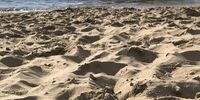 В Тольятти и Сызрани признаны опасными для купания несколько пляжей