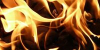 Недалеко от Шигонского лесничества начался пожар