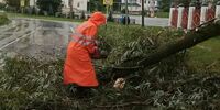 В Самарской области устраняют последствия мощного урагана