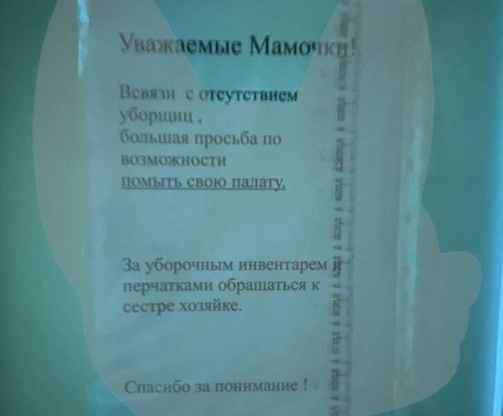 В самарской детской больнице уборщиц заменили тараканы
