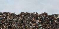 В Самарскую область из-за рубежа завезли 308 тонн отходов в прошлом году