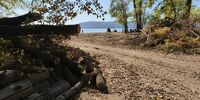 Санитарная версия