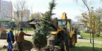 Самару пытаются вновь сделать «зелёной»