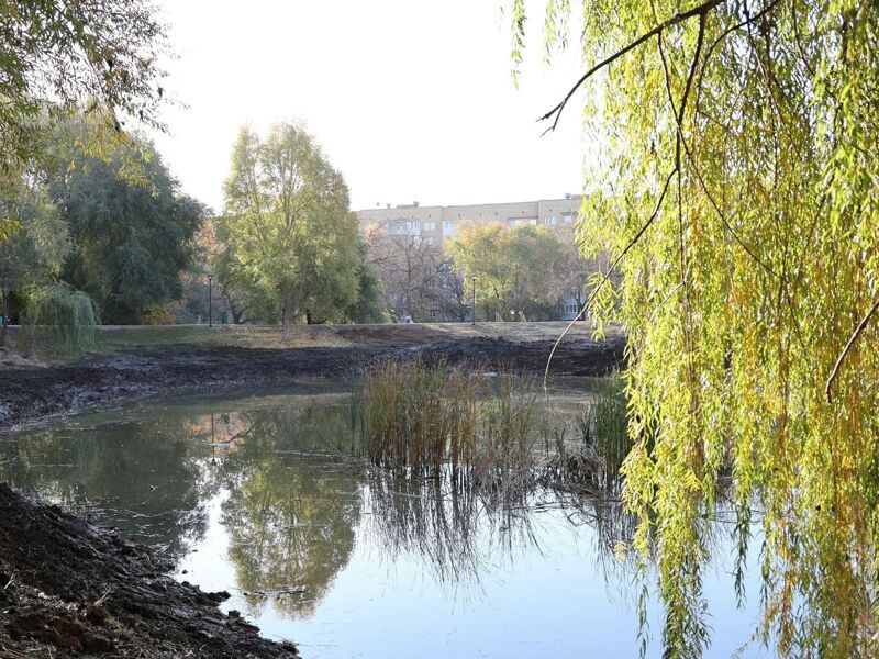 В Самаре займутся водоёмами в парке «Воронежские озера» и сквере «Дубовый колок»